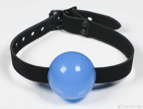 Ball Gag Picture_Sample