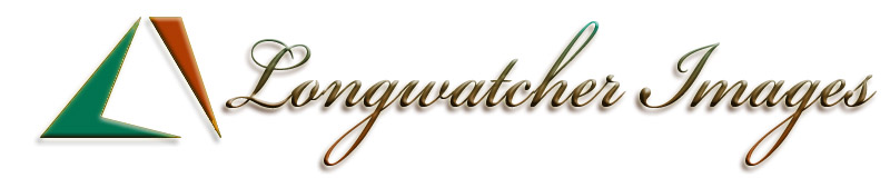 Longwatcher web logo