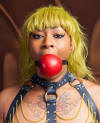 Apple Ball Gag on Sugar Holiday
